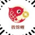 微锦鲤小程序APP v1.0