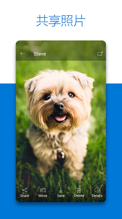微软网盘Onedrive软件6.60 (Beta 2) 安卓最新版