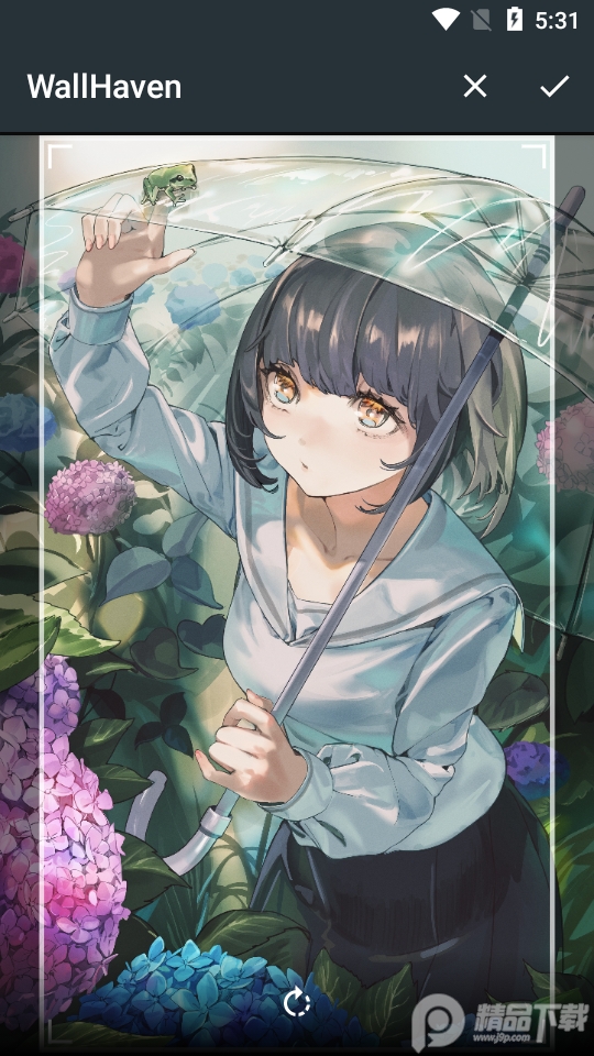 WallHaven壁纸软件app6.6.6 绿色无广告版