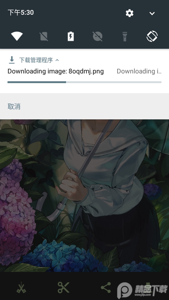 WallHaven壁纸软件app6.6.6 绿色无广告版
