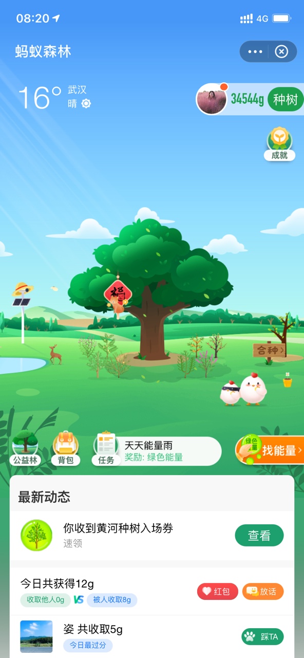 支付宝app客户端10.2.64.5000 安卓手机版