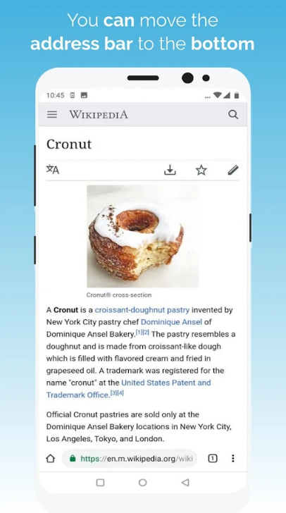 kiwi浏览器Kiwi Browser安卓版103.0.5060.59 最新版