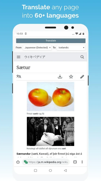 kiwi浏览器Kiwi Browser安卓版103.0.5060.59 最新版