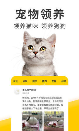 有只宠物