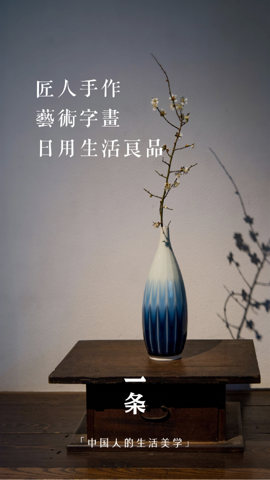 一条V5.2.5安卓最新版