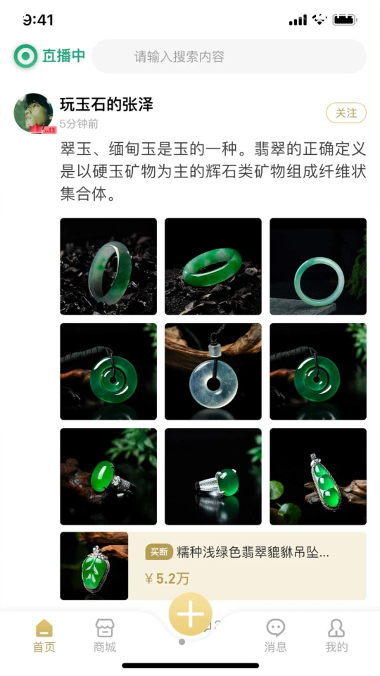 掌门世家翡翠精选