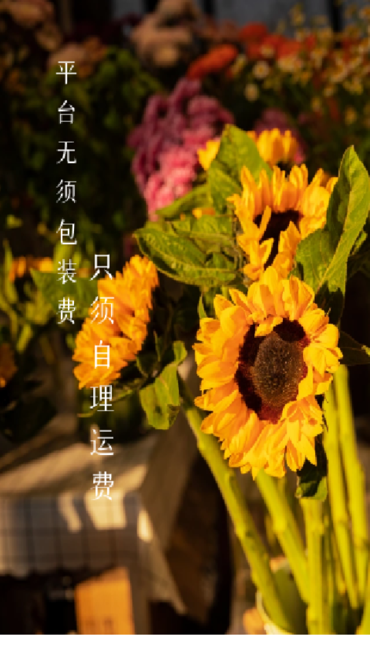 批花网鲜花订购app1.0.4最新版