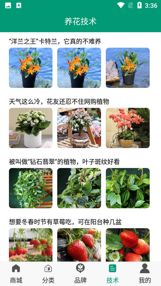 花期货源APPV1.0.2最新版