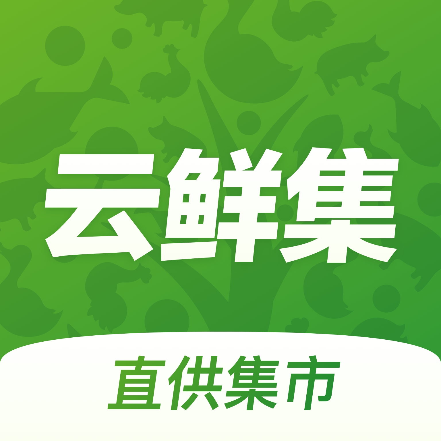 云鲜集APP安卓V1.0.13最新版
