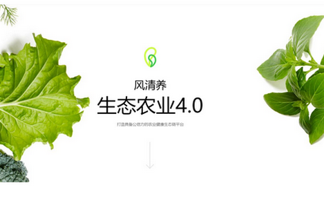 风清养APP
