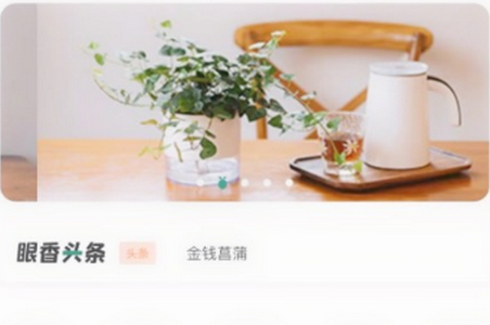眼香APP