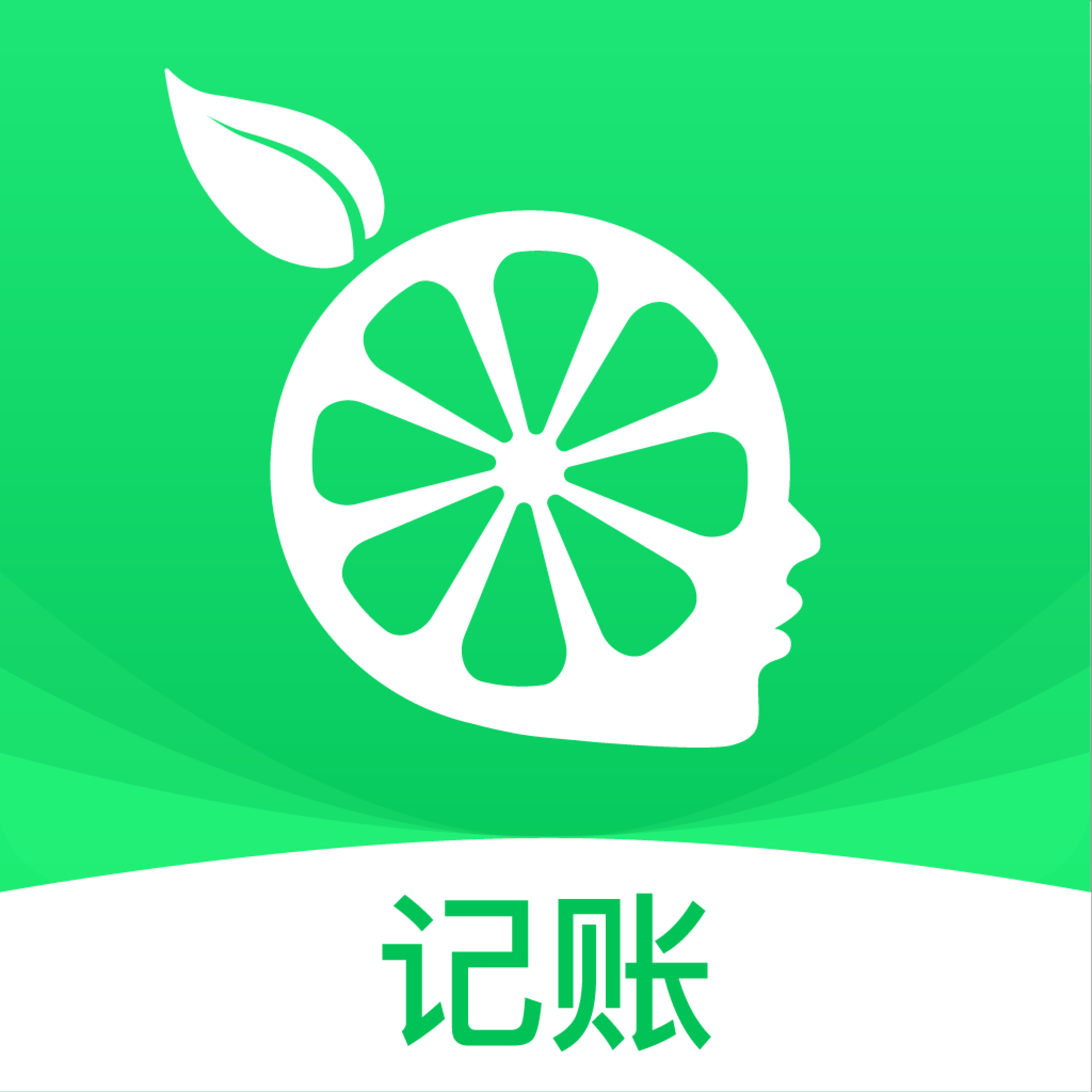 柠檬云记账app4.9.0最新版