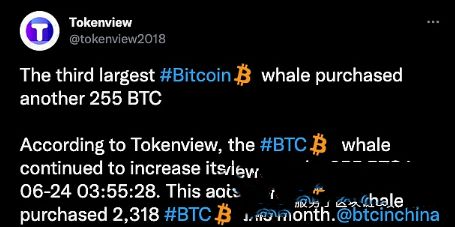 比特币btc今日新闻 中本聪币最新行情走势分析