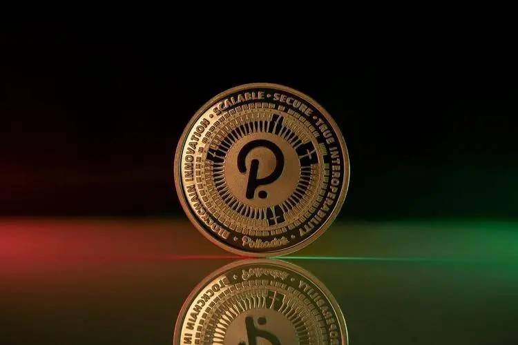 波卡币交易所下载_波卡币交易所官方最新版下载