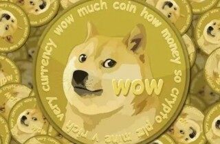 狗币行情天天关注,不深入了解狗币(狗狗币,DOGE,犬币)怎么可以呢？