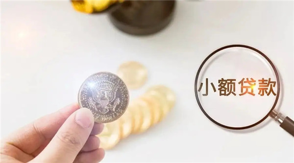 小额贷款有哪些?小额贷款是什么意思?