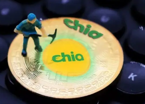 XCH是什么币种? 奇亚币为什么受投资者追捧