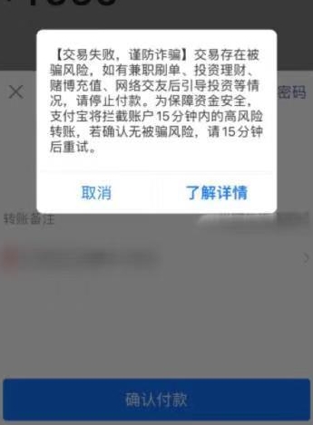 支付宝24小时延迟到账的功能是什么意思？