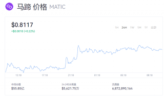 MATIC币最新行情 一MATIC马蹄币相当于多少美金？