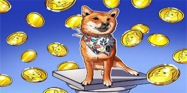 DOGE的高点和低点：狗狗币是一项好的投资吗?