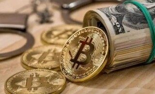 pig币猪币最新消息(pig币猪币最新行情)