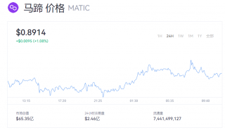 MATIC币实时价格查询 马蹄币一个值多少钱？