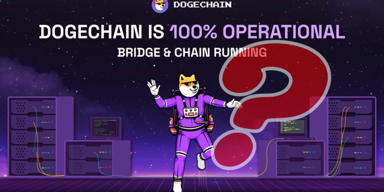 狗狗链遭黑停机疑云!开发者:bug误铸970万枚wDoge给他-第1张图片-欧易okex官网 狗狗链遭黑停机疑云!开发者:bug误铸970万枚wDoge给他-第1张图片-欧易okex官网