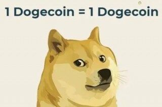 doggy币行情(doggy币行情是国外的吗)