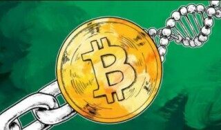 币赢交易所靠谱吗(币赢交易所app是骗局吗)