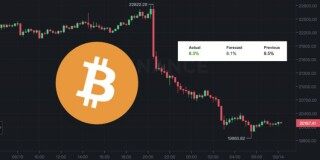 集体跳水！美8月CPI年增8.3％高预期 比特币跌12%破2万美元