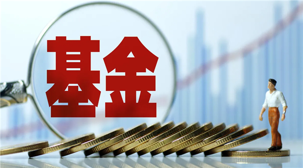 基金的涨跌是根据什么？为什么会这样？