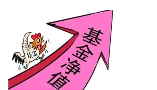 基金单位净值和累计净值指什么?区别在哪？