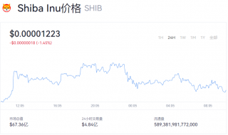 今日SHIB实时价格动态 SHIB目前多少钱一个？