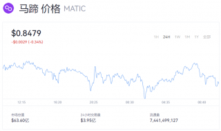 MATIC币一个是多少钱？马蹄币最新动态