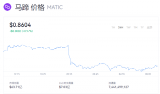 MATIC币一个价格多少钱？马蹄币今日行情动态