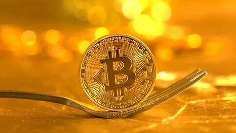 虚拟币论坛有哪些(手机可以挖哪些虚拟币)-第1张图片-欧易app