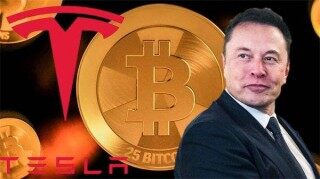 鱼池怎么绑定zec账号 - 鱼池子账号