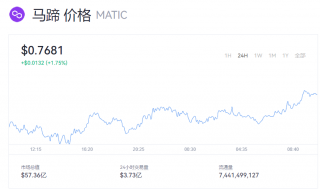 MATIC币今日行情如何？马蹄币实时价格动态