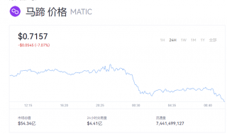 MATIC币一个多少美元？马蹄币行情走势分析