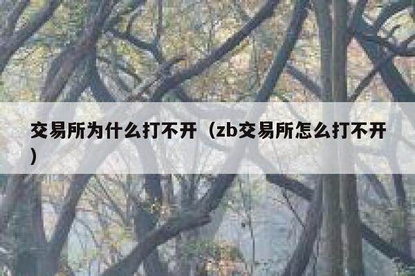 交易所为什么打不开（zb交易所怎么打不开）-第1张图片-欧易下载
