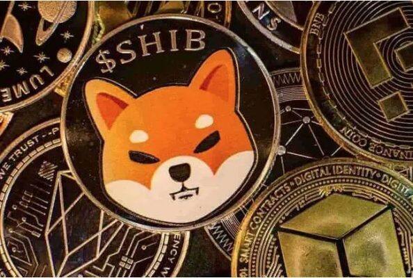 shib能涨到一毛钱吗 2022shib价格预测-第1张图片-欧易下载