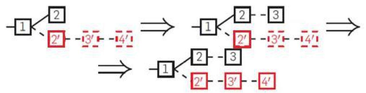 盘点常见的9种区块链攻击方式-第3张图片-欧易下载