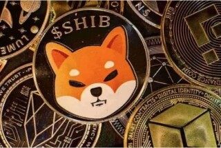 shib能涨到一毛钱吗 2022shib价格预测