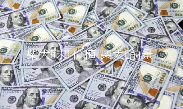 柴犬币未来价值-第1张图片-欧易下载