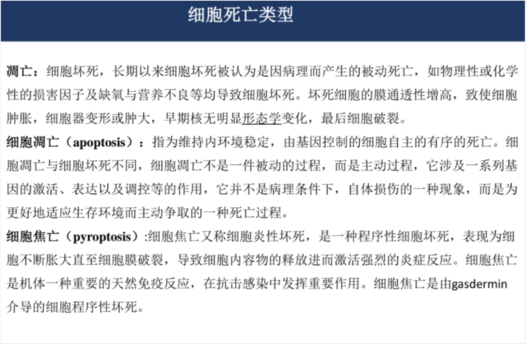 关于基金的ppt课件（关于基金的ppt课件下载）-第3张图片-欧易下载