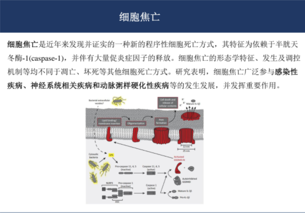 关于基金的ppt课件（关于基金的ppt课件下载）-第4张图片-欧易下载