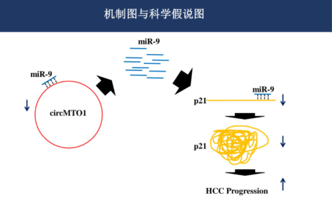 关于基金的ppt课件（关于基金的ppt课件下载）-第5张图片-欧易下载