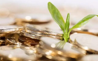 PAY币总量多少？PAY币最新消息