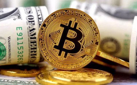 派币多少钱一个(2020年派币多少钱一个)-第1张图片-欧易下载