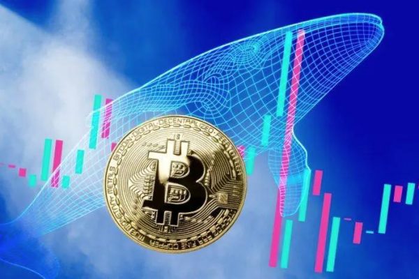 币圈2023最新软件买卖排行（2月份币币交易所公布）-第1张图片-欧易下载